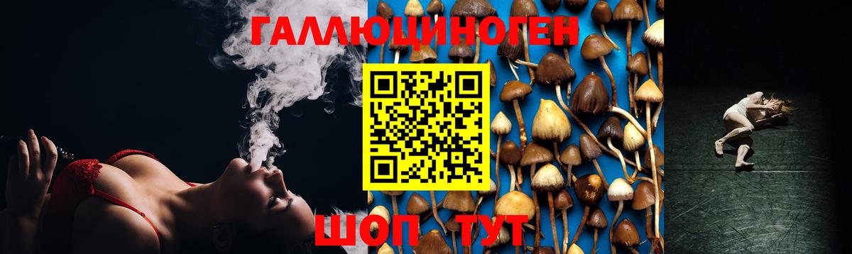 Верхний Уфалей  Псилоцибиновые грибы мухоморы  закладки  Вход с VPN 