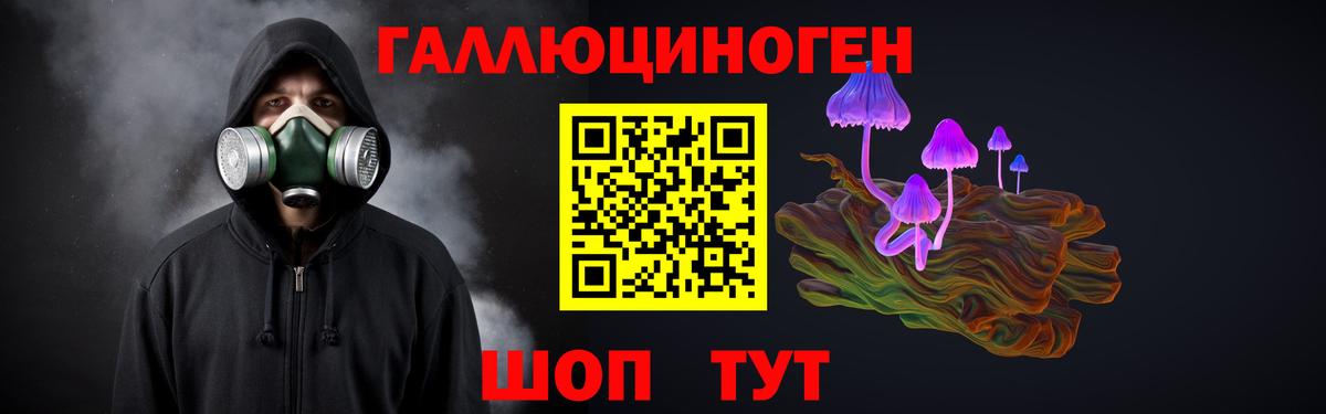Псилоцибиновые грибы GOLDEN TEACHER Верхний Уфалей